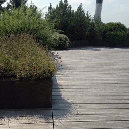 Terrasse in Zürich